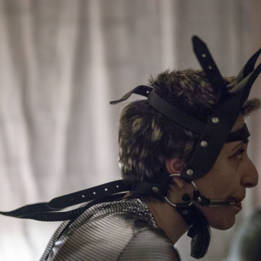 il rito della scrofa