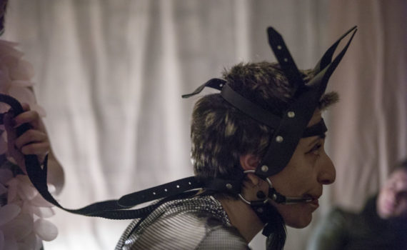 il rito della scrofa